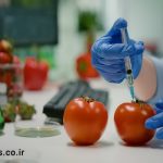 تسهیل فرآیند توسعه محصول و شناسایی مشکلات غذایی با آزمایشگاه صنایع غذایی