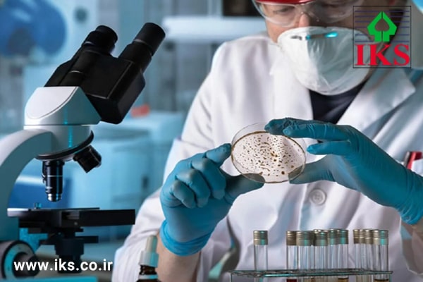 بررسی آزمایشگاه میکروبی، تأسیساتی حیاتی برای صنایعی حساس