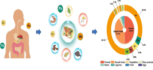 فلزات سنگین و امنیت غذایی